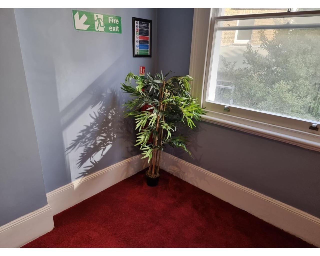Apartament Fg1- Ground Flr Flat Good For 4- Near Hyde Park Londyn Zewnętrze zdjęcie